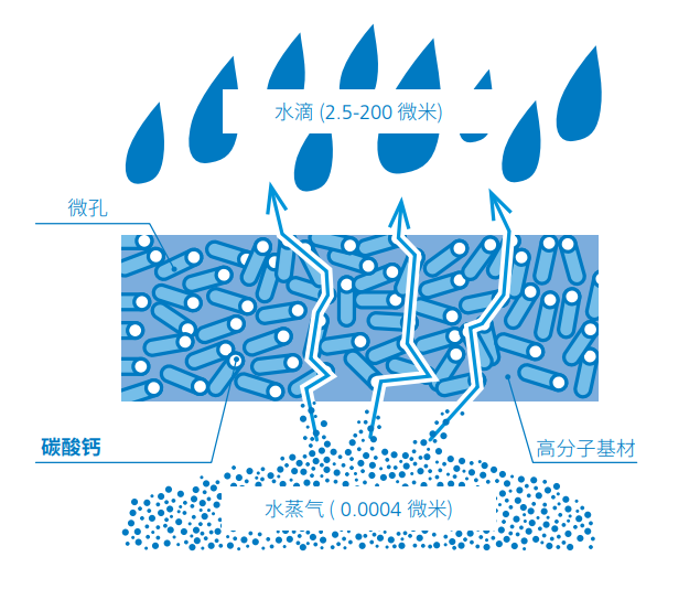 透氣膜用碳酸鈣質量指標、技術問題 　　